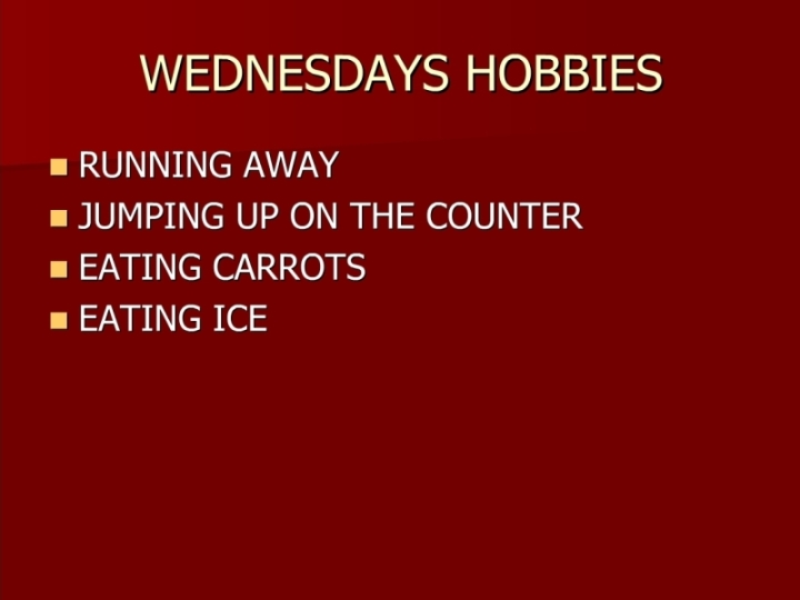 Slide 4